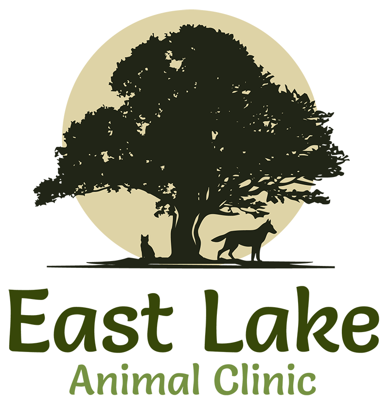 East Lake Animal Clinic